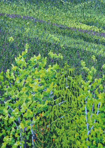 Bayerischer Wald (25)