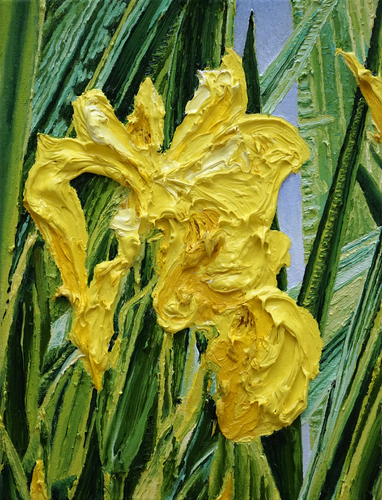 Sumpfschwertlilie II Iris pseudacorus