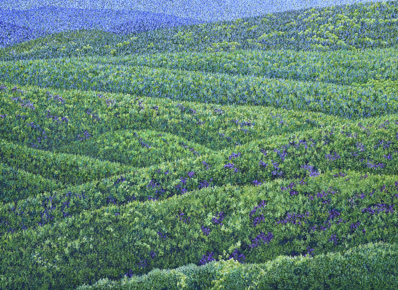 Katharina Gierlach: Oberpfälzer Wald (45)
