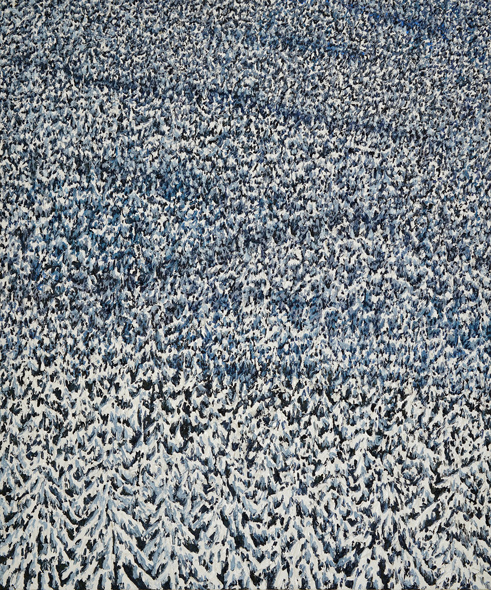 Katharina Gierlach: Wald (10)
