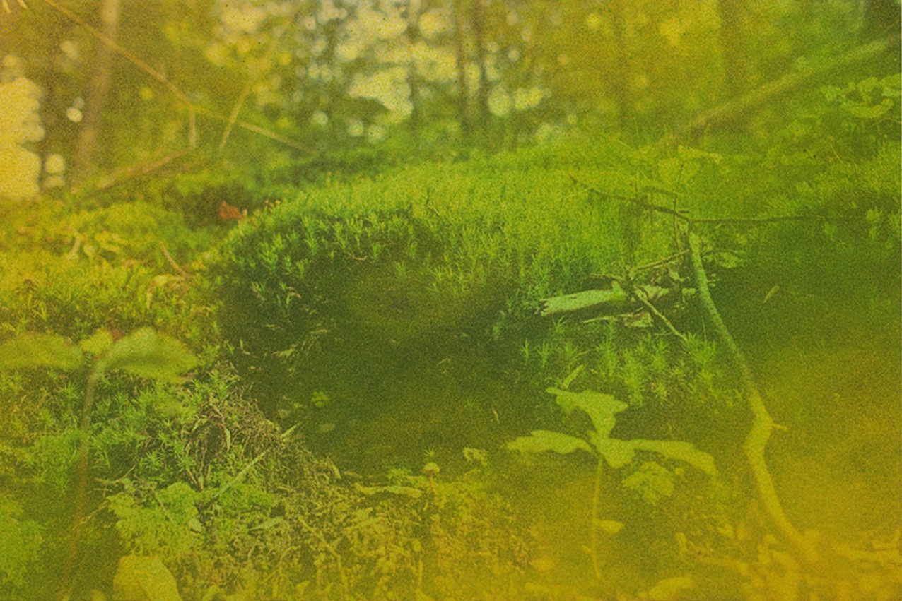 oil40 VIII