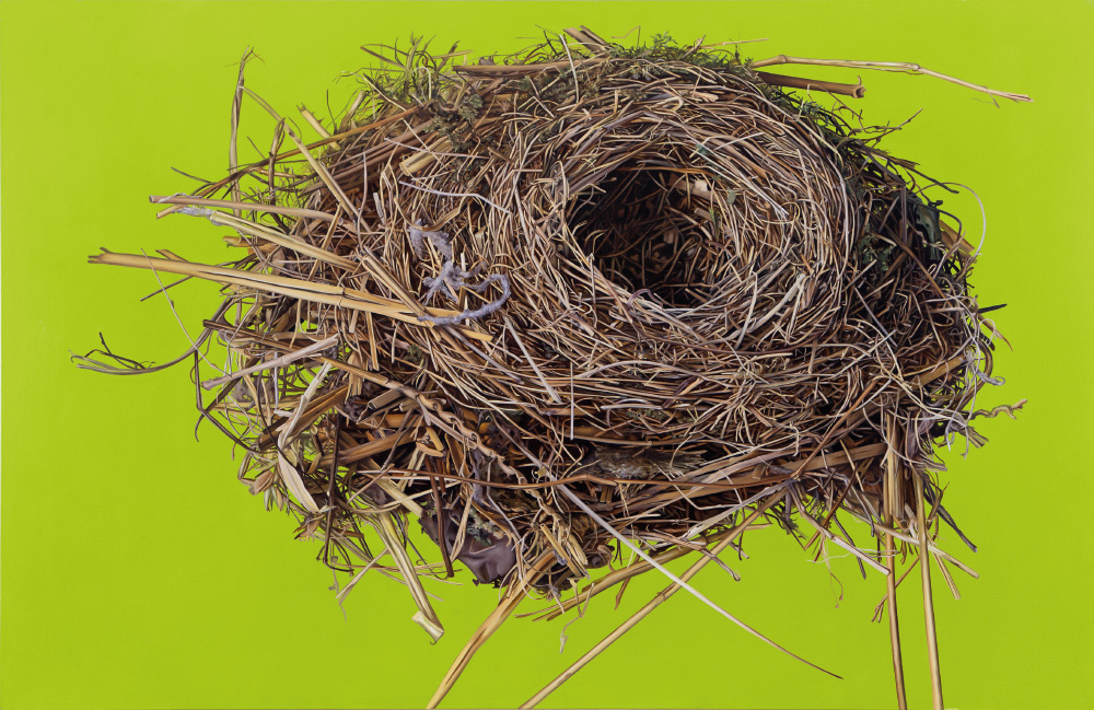 Vogelnest 22