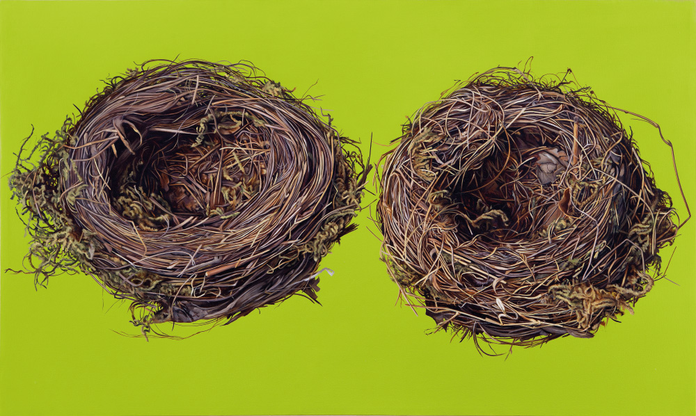 2 Vogelnester