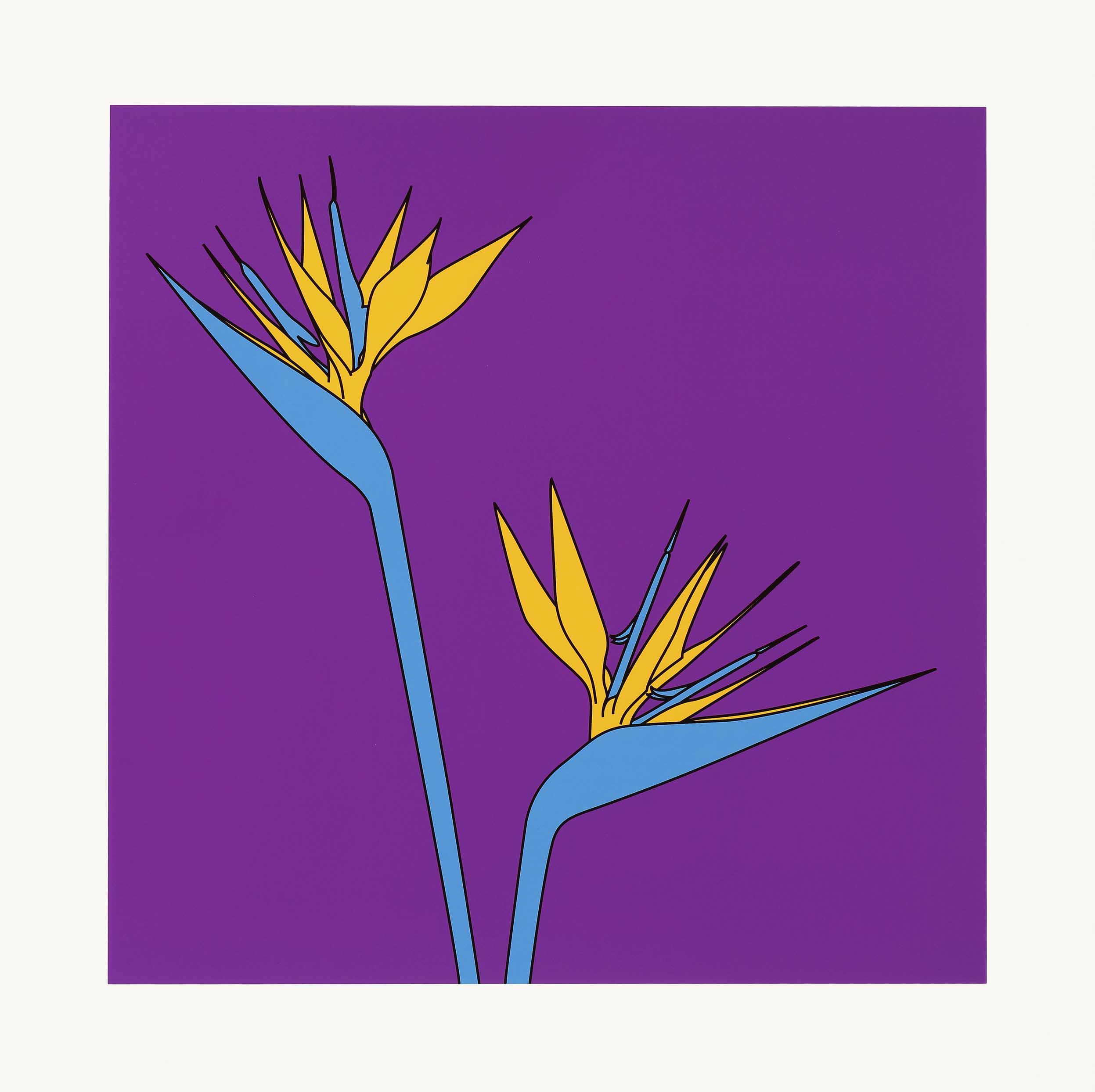 Domesticated Flower (Birds of Paradise)