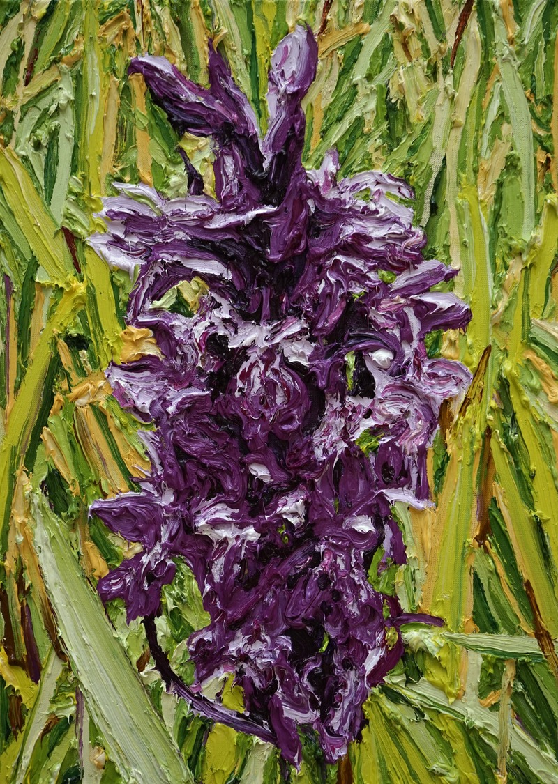 Katharina Gierlach: Dactylorhiza majalis