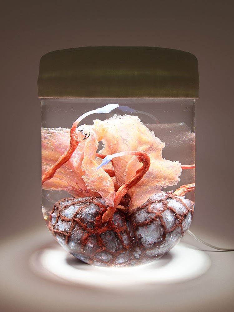malatsion: Genesis of my hybridization. Implant ID_022MR