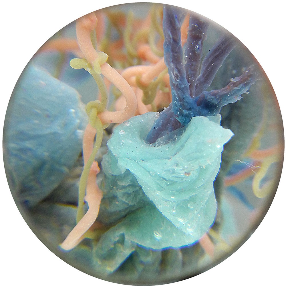 malatsion: Healing processes. Monitoring the symbiosis, ID_027 / 1213