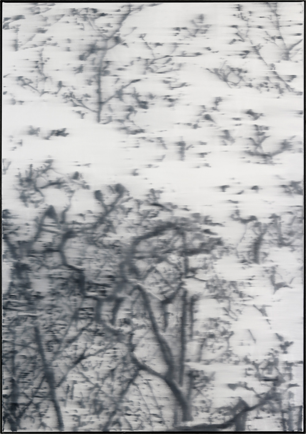 JKB Fletcher: Untitled as part of the Blossom series (1)