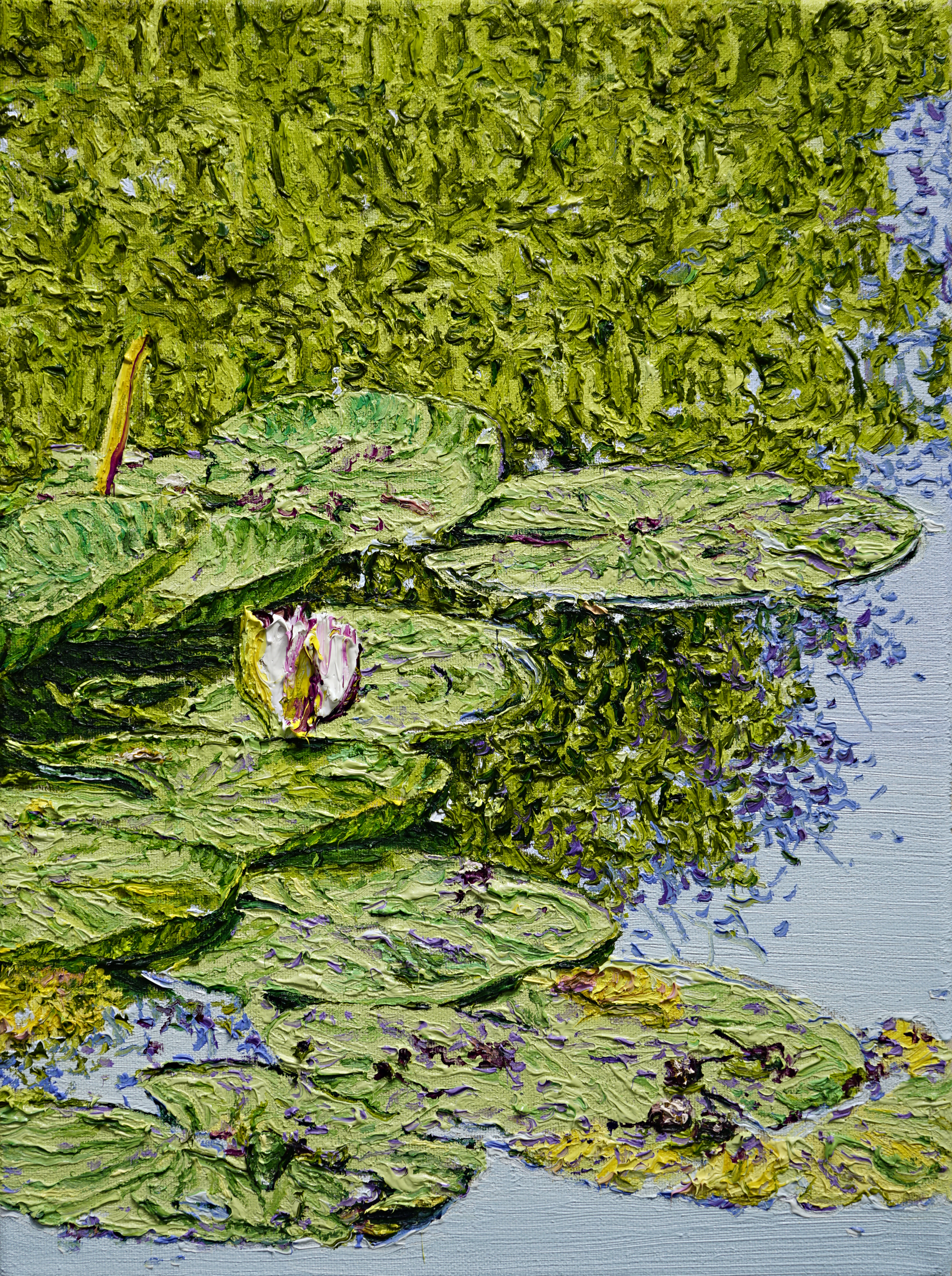 Katharina Gierlach: Nymphaea alba III