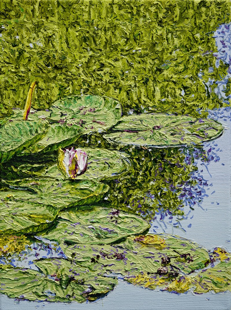 Katharina Gierlach: Nymphaea alba III