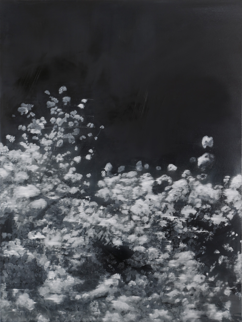 JKB Fletcher: Blossom