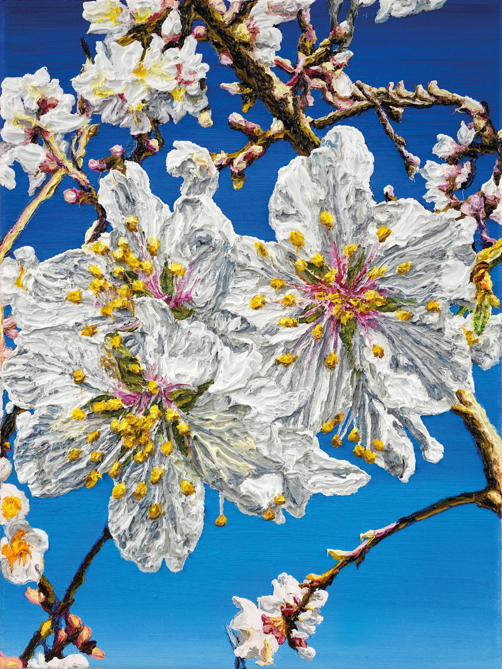 Doppelklick für Großansicht Mandelblüte IV