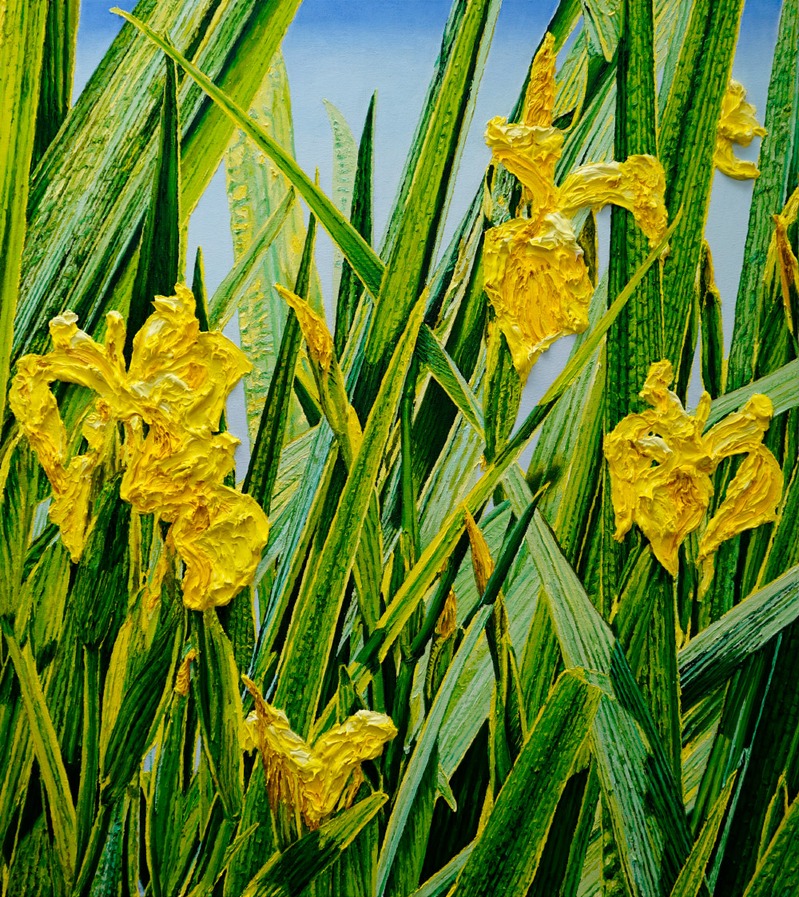 Sumpfschwertlilie_Iris pseudacorus
