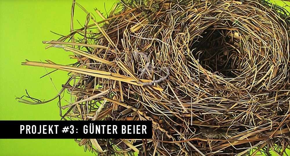Projekt #3: Günter Beier