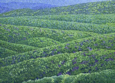 Katharina Gierlach: Oberpfälzer Wald (45)