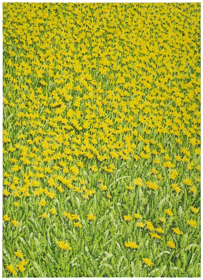 Katharina Gierlach: Wiese (61)