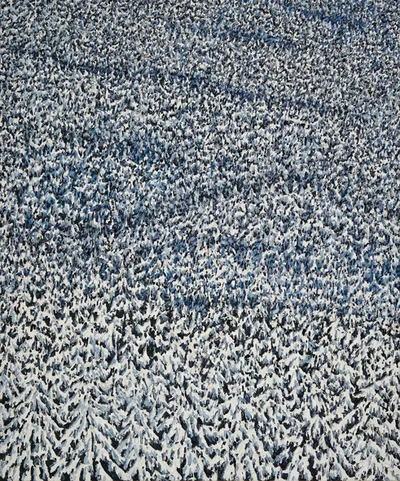 Katharina Gierlach: Wald (10)