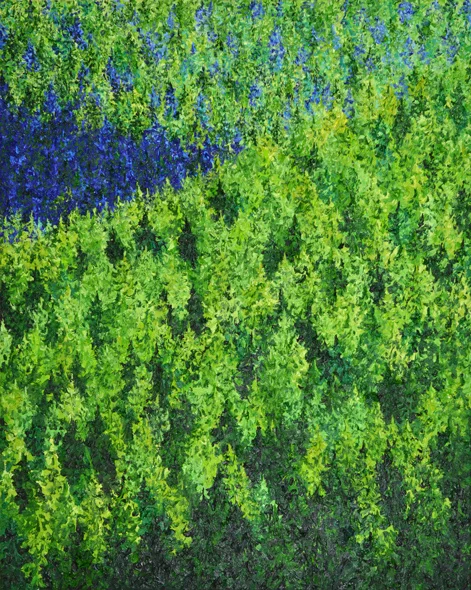 Wald (6)