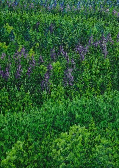 Katharina Gierlach: Wald
