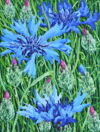 Katharina Gierlach: Kornblumen