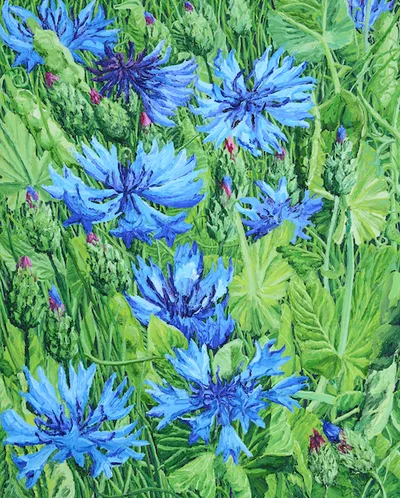 Katharina Gierlach: Kornblumen