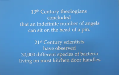 Steve Johnson: Angels and bacteria