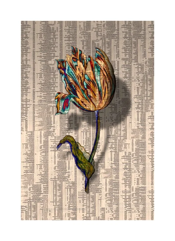 Tulipmania XI