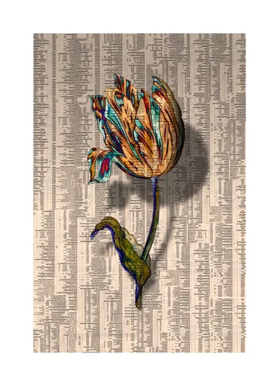 Tulipmania XI