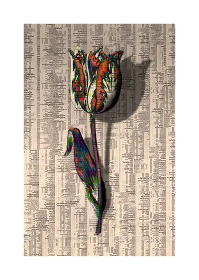 Tulipmania III