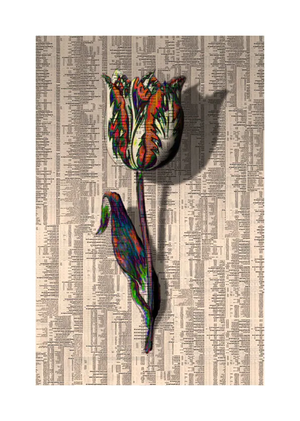 Tulipmania III