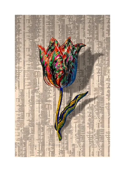 Tulipmania VI