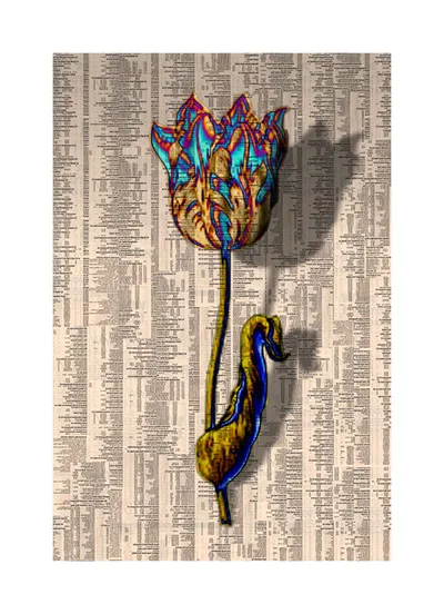 Tulipmania VII