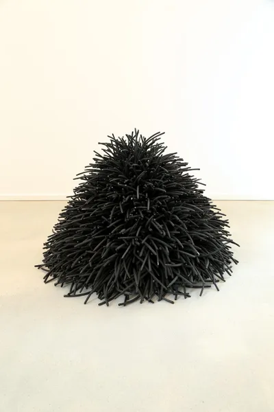 Doppelklick öffnet Großansicht Bean Finneran: Black cone