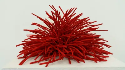 Bean Finneran: red cone
