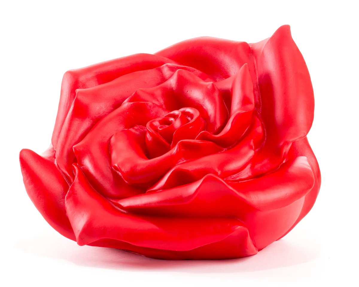 Rose (rot)