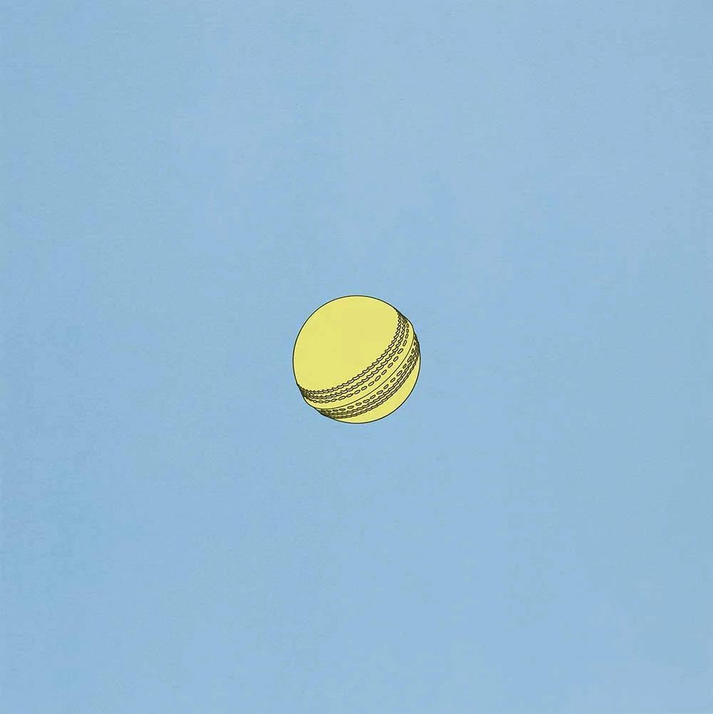 Sports Balls (Cricket ball)