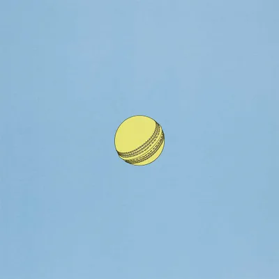 Sports Balls (Cricket ball)