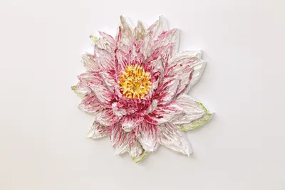 Katharina Gierlach: Seerose IV (weiß-pink)