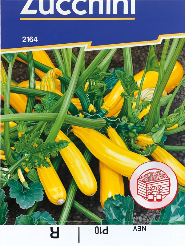 Zucchini