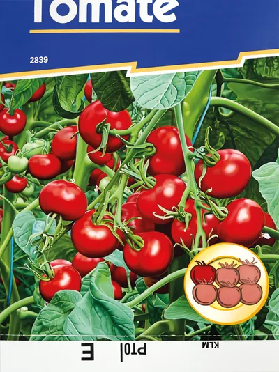 Günter Beier: Tomate