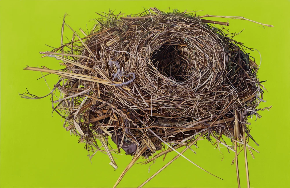 Vogelnest 22