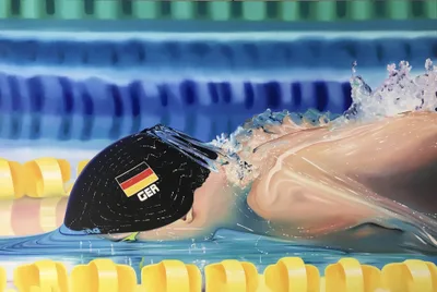 Doppelklick öffnet Großansicht Charlotte Trossbach: Butterfly Berlin