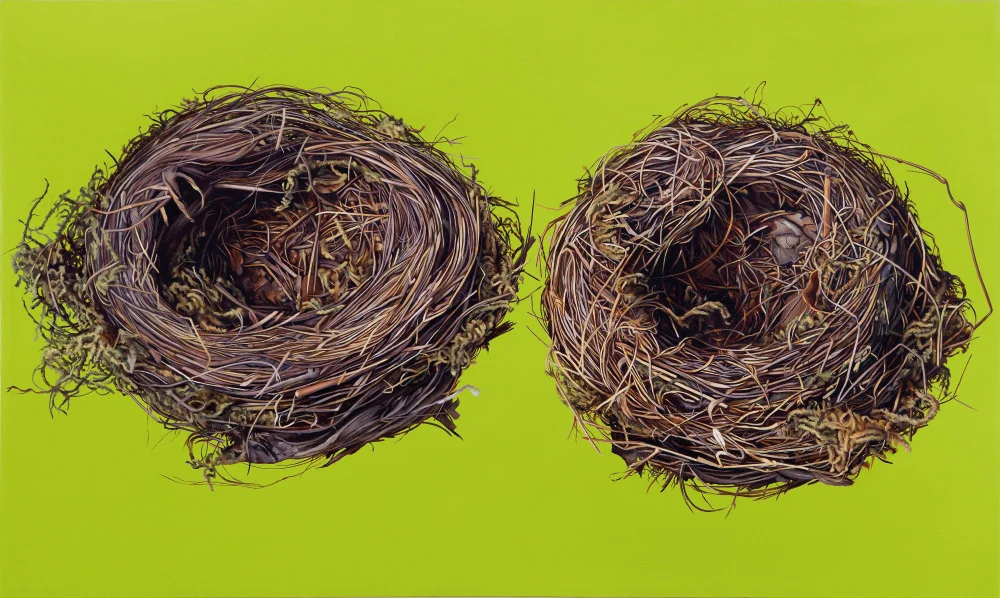 2 Vogelnester