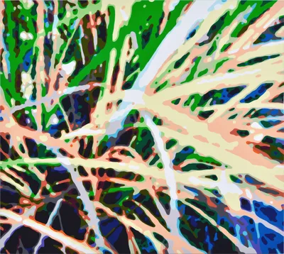 Doppelklick öffnet Großansicht Konrad Winter: Gras