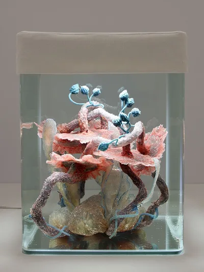 Doppelklick öffnet Großansicht malatsion: Healing processes. Holobiont ID_025