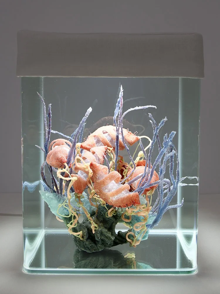Healing processes. Holobiont ID_027