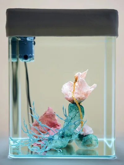 Doppelklick öffnet Großansicht malatsion: Healing processes. Holobiont ID_028