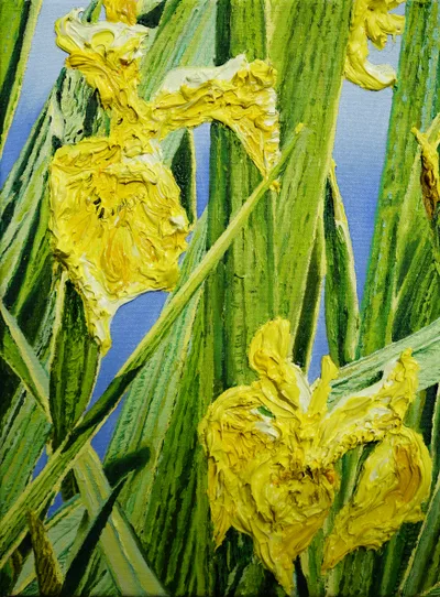 Katharina Gierlach: Sumpfschwertlilie Iris pseudacorus IV