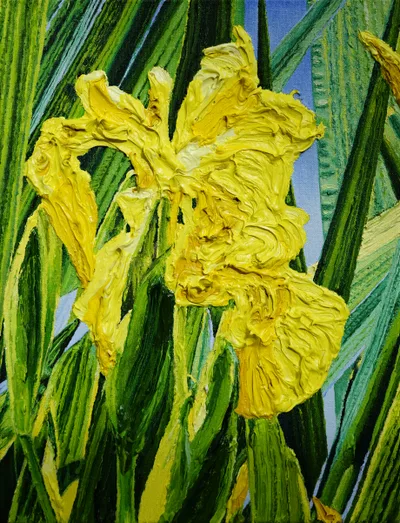 Katharina Gierlach: Sumpfschwertlilie Iris pseudacorus III