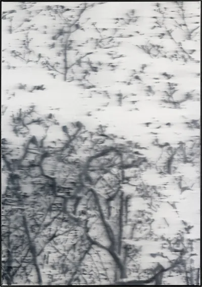 Doppelklick öffnet Großansicht JKB Fletcher: Untitled as part of the Blossom series (1)